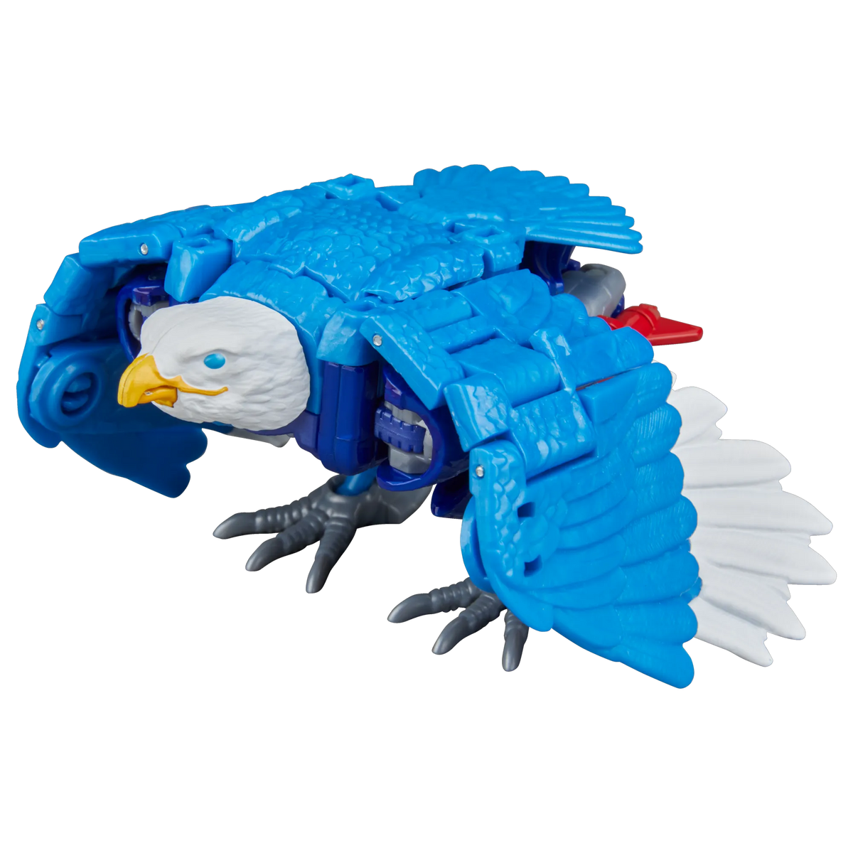One Size