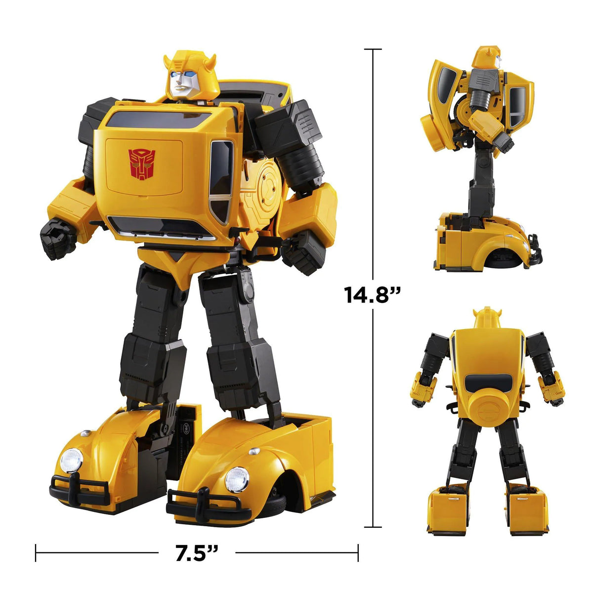 One Size